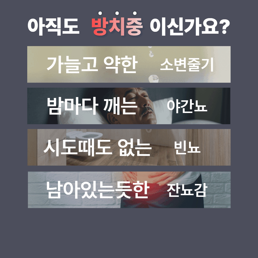 제목을 입력하세요.gif