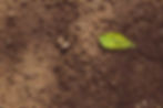 erosion control.jpg