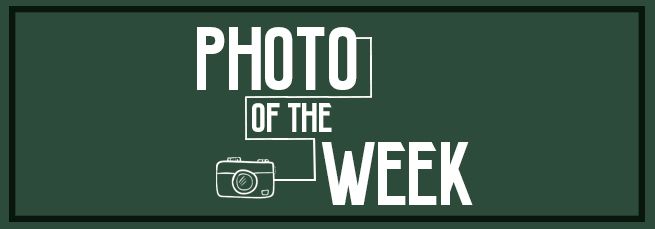 Photo of the Week