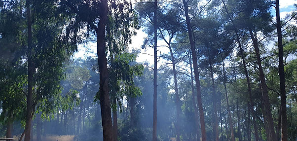 ايمن احمد4.jpg