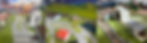 Untitled design_edited.jpg