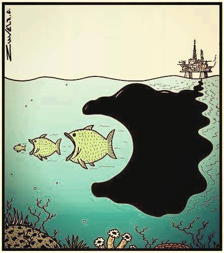 Contaminacion Por El Petroleo