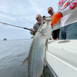 Tarpon and a Boat