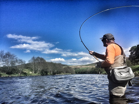 Fully Flexed Salmon Rod