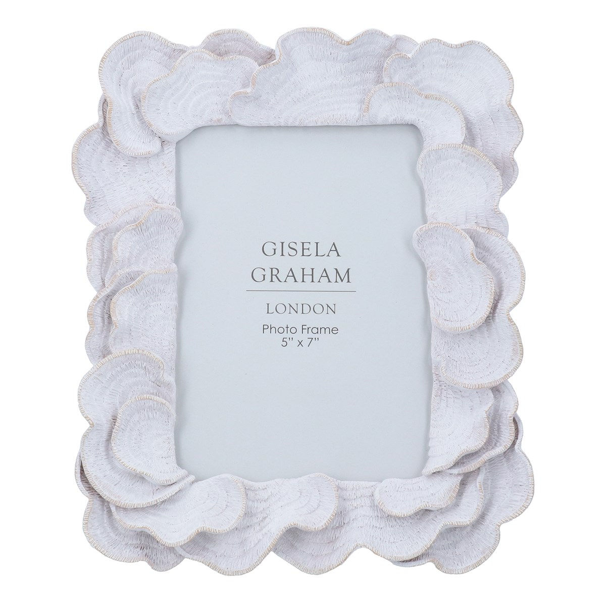 Antique White Oyster (5"x7") 24cm