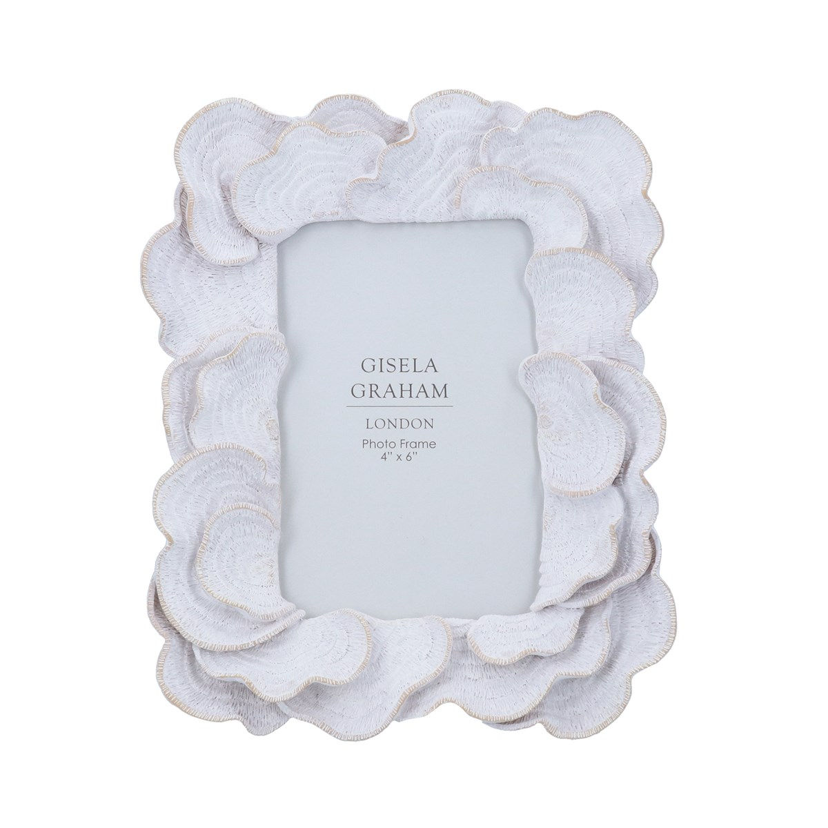 Antique White Oyster (4"x6") 21.5cm