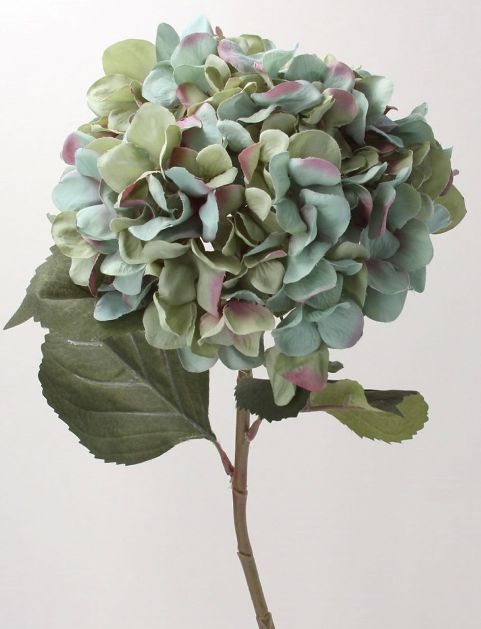 Antique Blue Hydrangea Stem