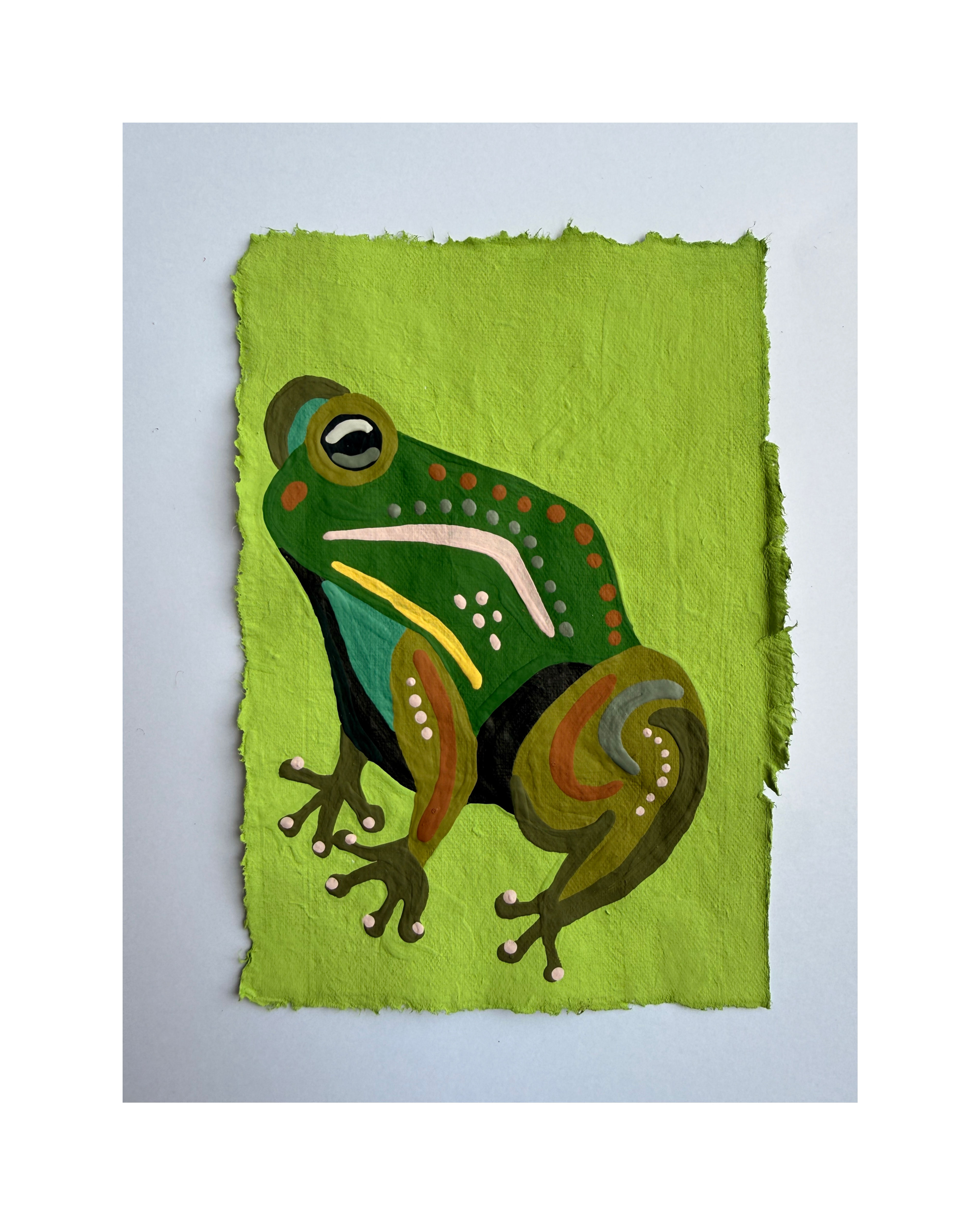 Sketch Book Pages - Frog