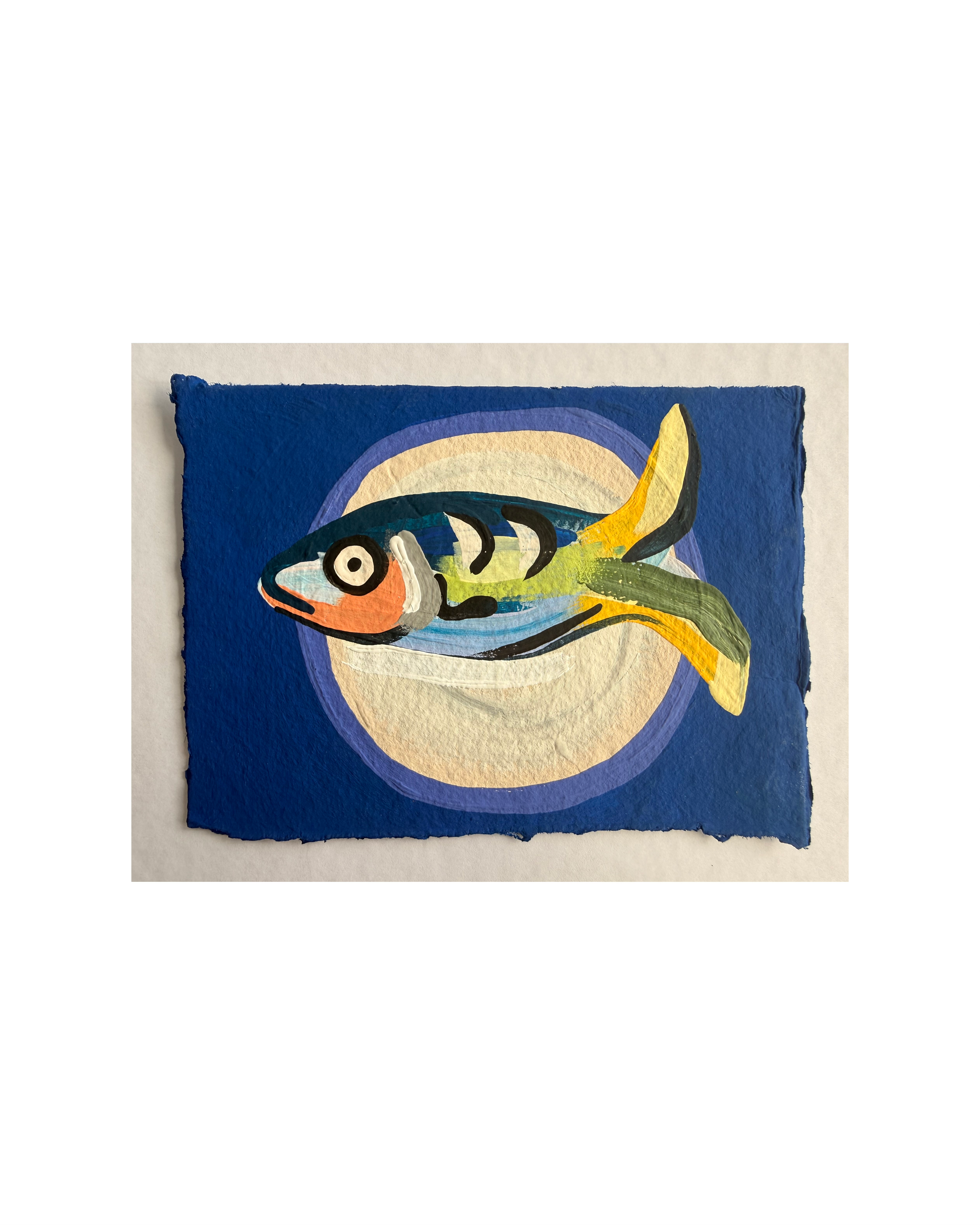Fish on blue 