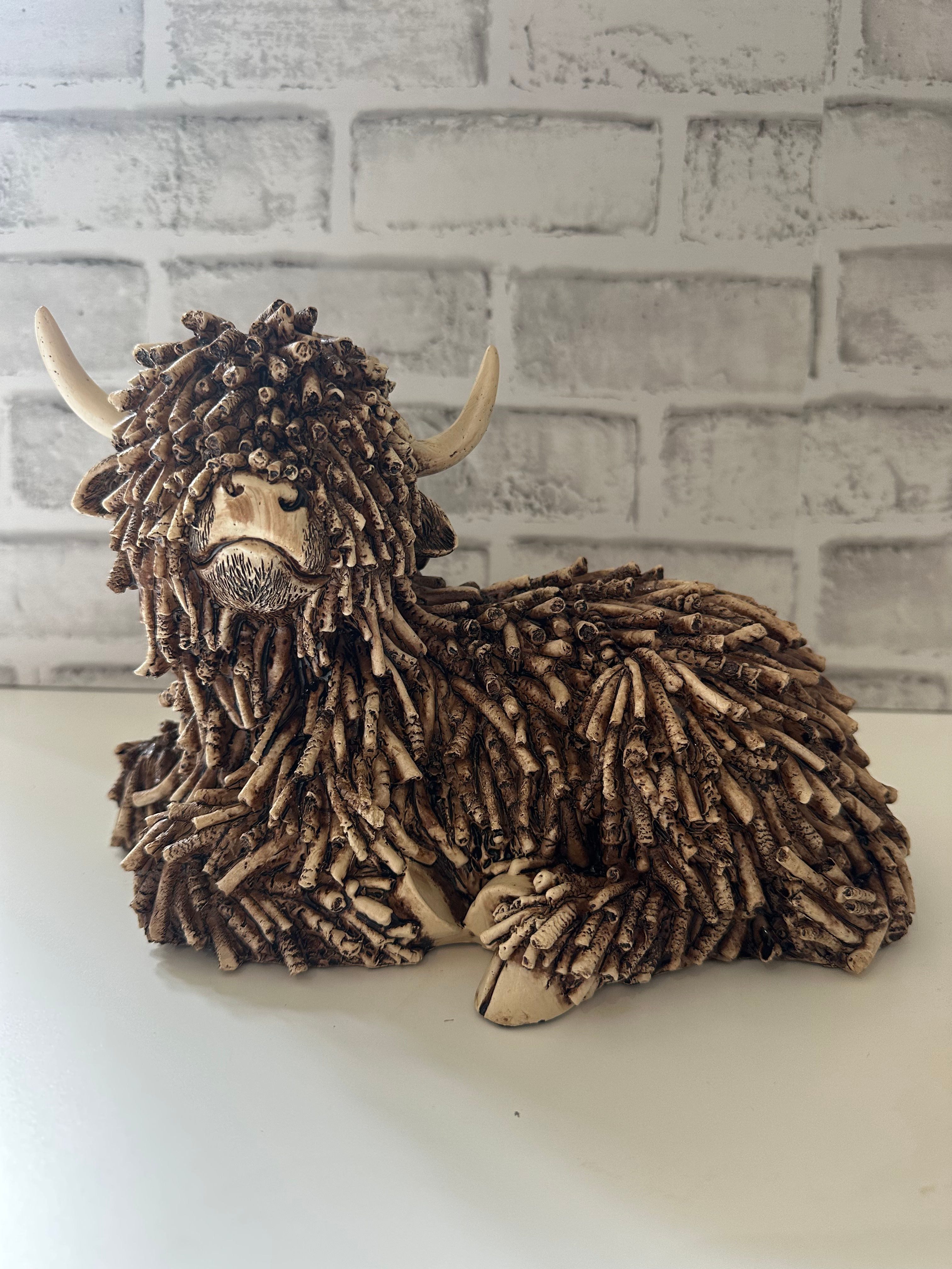 Laying Highland Cow
