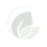 FFG_Logo_Submark_Color_transparent20-01.
