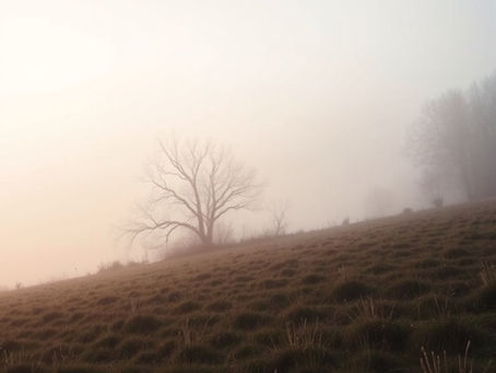 Waarom onderzoek vaak te vroeg wordt ingezet