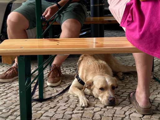 We're Pet Friendly!