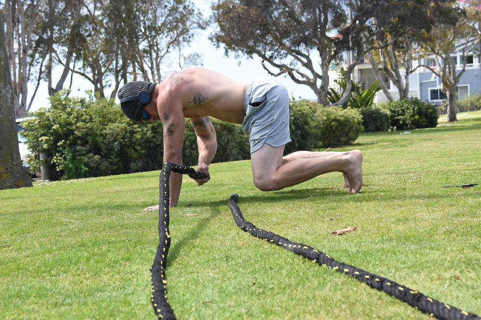 Bear Stance Battle Ropes