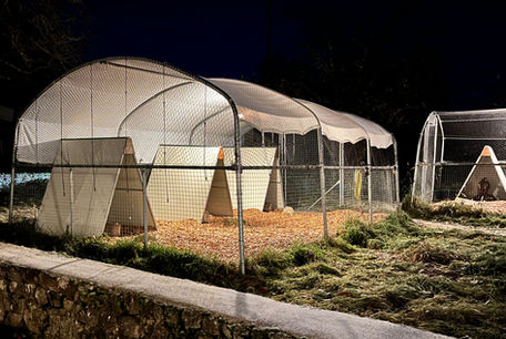 Fauconnerie Natur'Ailes