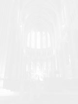 Fauconnerie cathédrale
