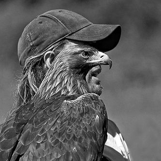 Cyril Leseul © Natur'Ailes