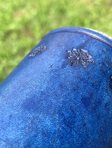 Perche box de transport Rapaces