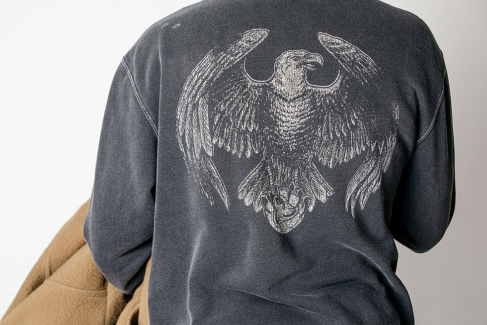 Thumbnail: Taiste - USA "Shooting Stars" Hoodie