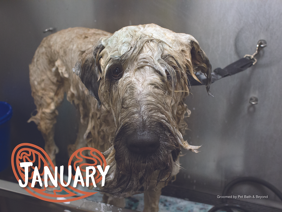 2019 GTG Calendar January