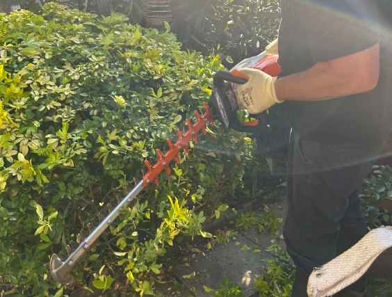 Screenshot 2024-08-29 18.23.37.png