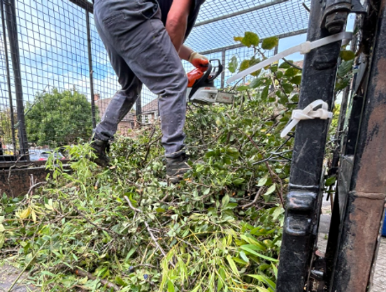 Screenshot 2024-08-29 19.47.29.png