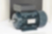 Motors- Teco single phase