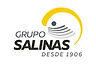 grupo_salinas_.jpeg