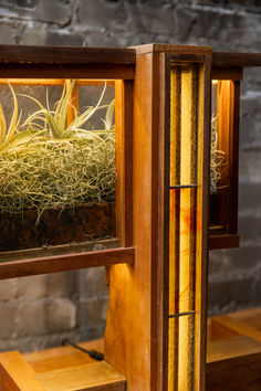 terrarium window lamp made with stained glass and wood