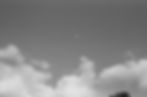 53100139292_e083051b97_o.jpg