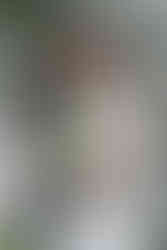 bride and groom photos in manayunk