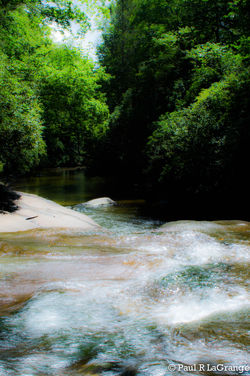 DSC04011