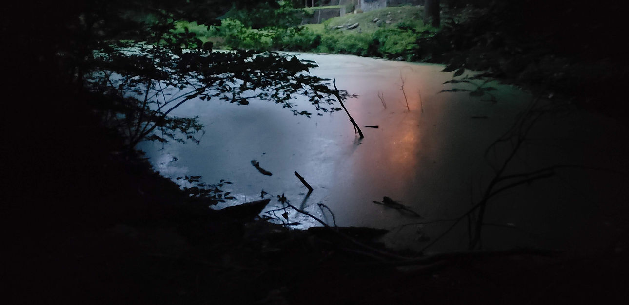20180722_202949.jpg
