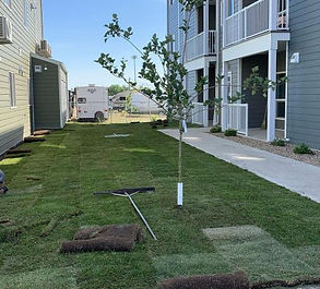 landscaping.jpeg