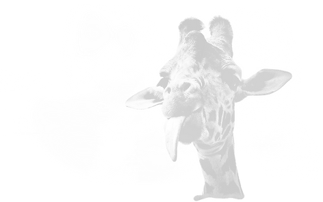 giraflo_edited_edited_edited_edited_edit