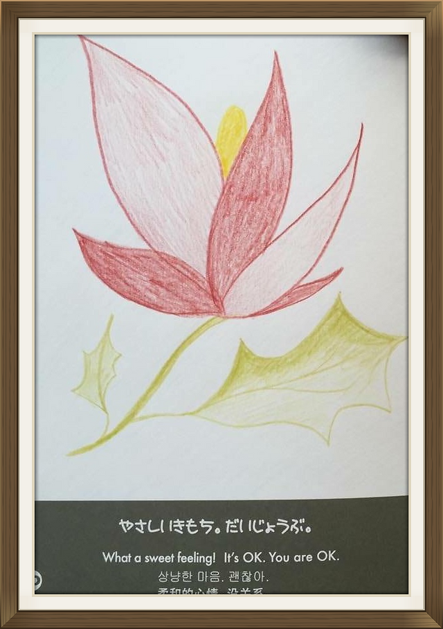 美
