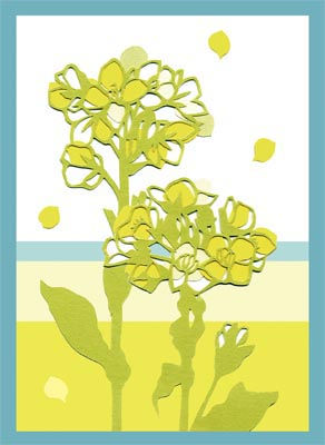 菜の花