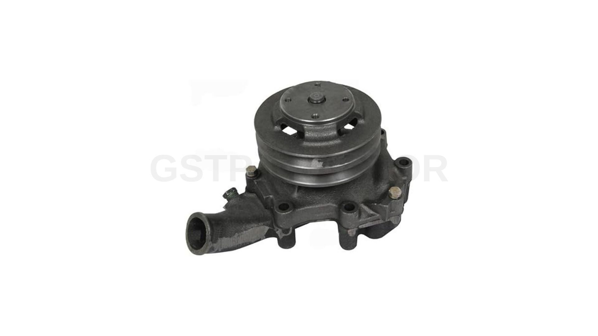 W.PUMP WITH BACKPLATE DOUBLE PULLEY