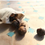 Thumbnail: SOAPNUTS