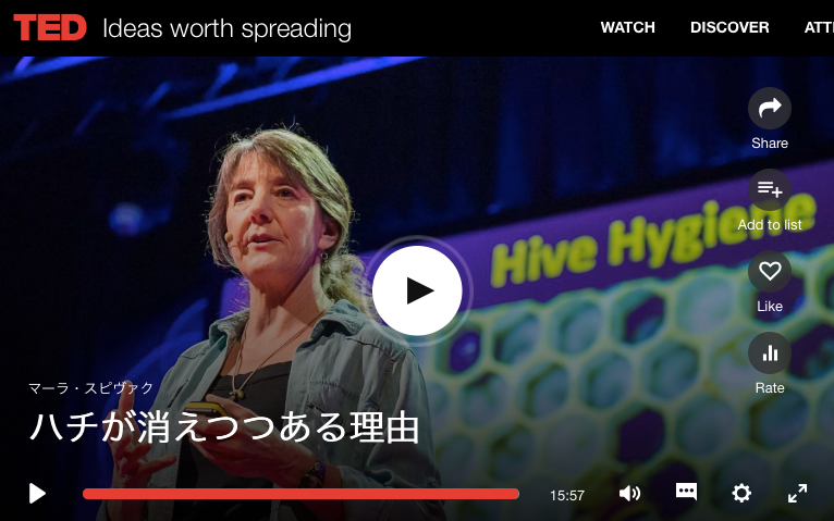 TED ハチが消えつつある理由