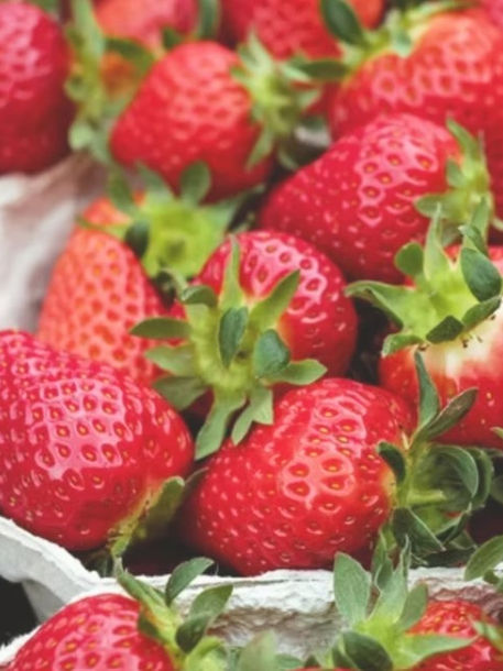 Blairgowrie Highland Games