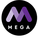 Mega-Lexis -StudyAbroad