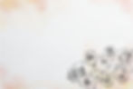 WEB_Banner-logosuz.jpg
