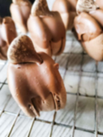 Chocolate dipped macarons
