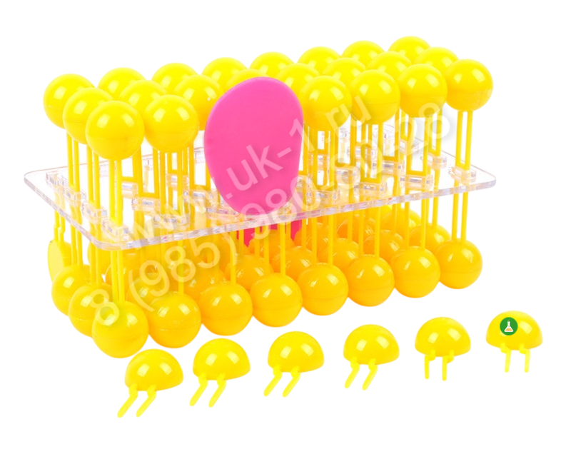 Модель Строение клеточной оболочки