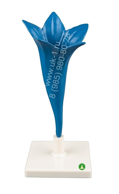 Модель Цветок василька