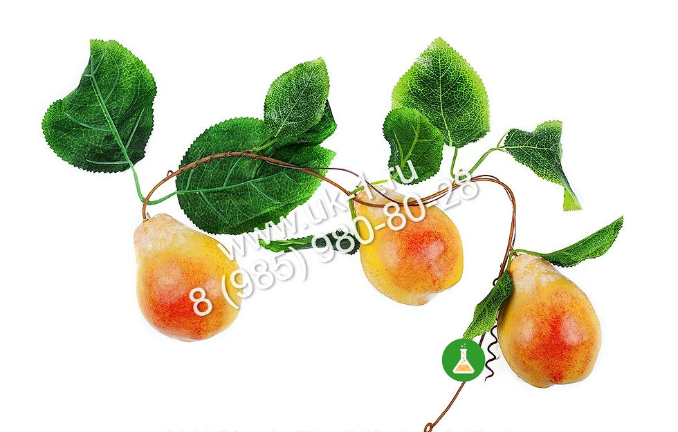 Ветка муляжей Груши
