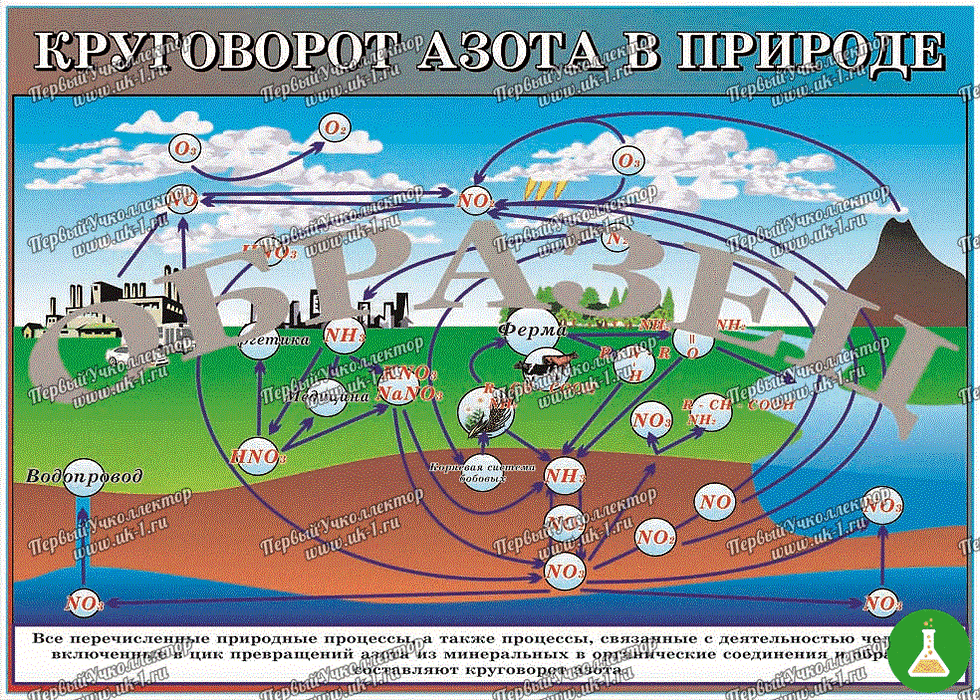 Таблица Круговорот азота в природе 1000х1400 винил