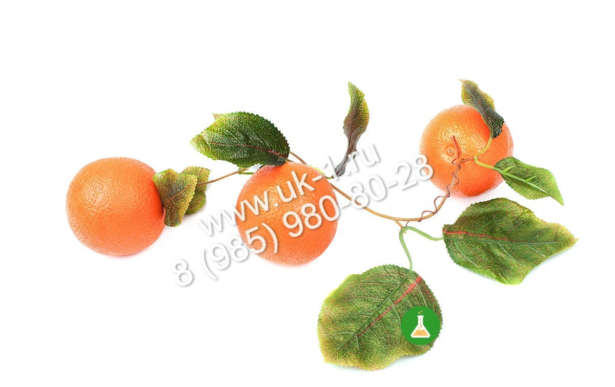 Ветка муляжей Апельсины