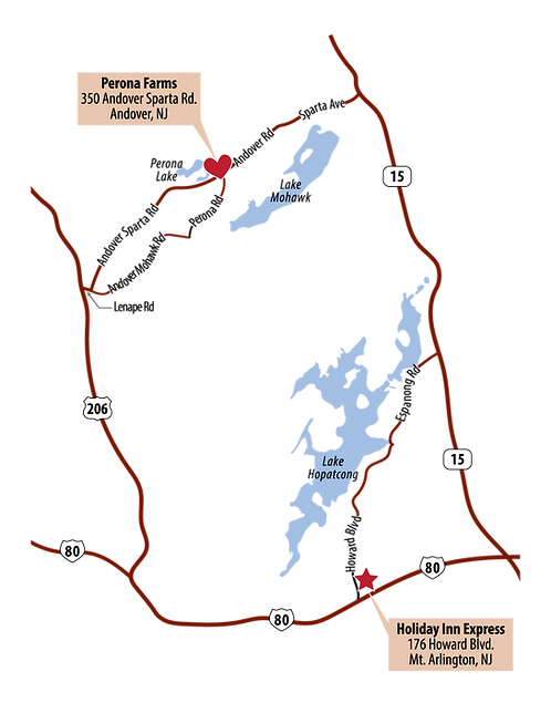 Wedding Map Illustration - PNG.png